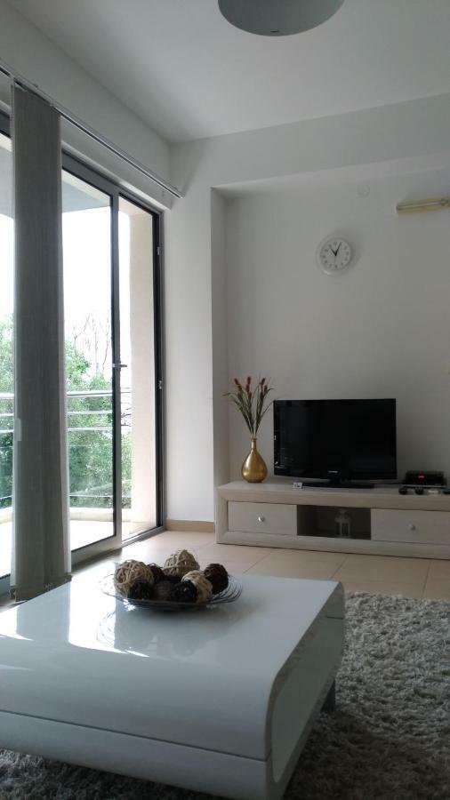 Apartments Acacia Hill Ðenovići 外观 照片